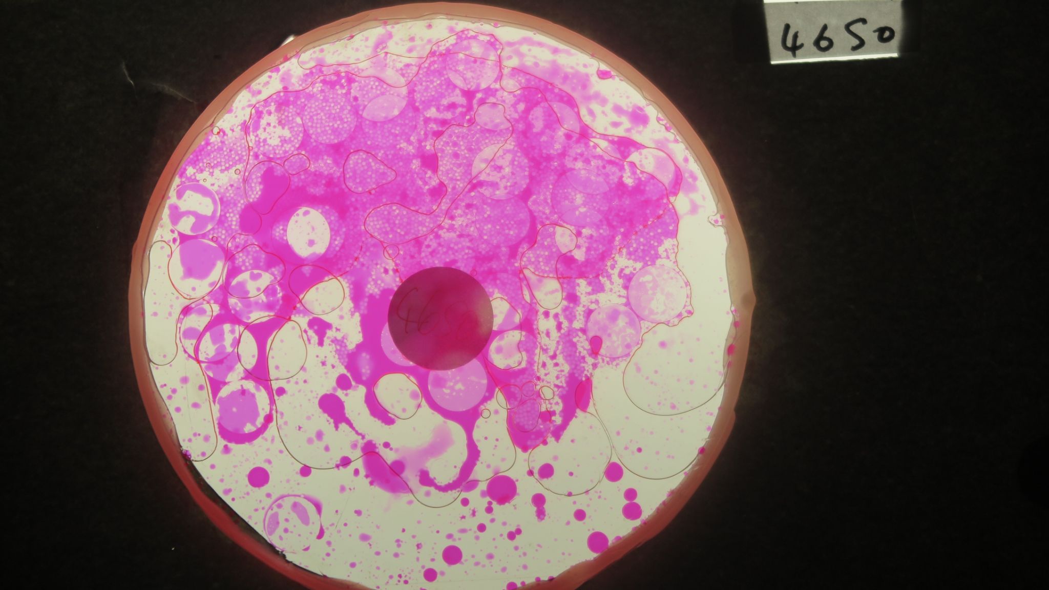 BV4650 bubble vision oil wheel